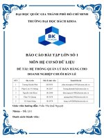 ĐỀ TÀI HỆ THỐNG QUẢN LÝ BÁN HÀNG CHO DOANH NGHIỆP CHUỖI BÁN LẺ