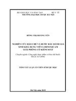 Tóm tắt luận án: Nghiên cứu bào chế và bước đầu đánh giá sinh khả dụng viên lornoxicam giải phóng có kiểm soát.