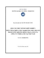 PHÂN TÍCH CHIẾN LƯỢC MARKETING MIX CHO SẢN PHẨM NƯỚC KHOÁNG ĐÓNG CHAI LAVIE CỦA CÔNG TY TNHH LAVIE TẠI VIỆT NAM