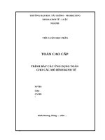 tiểu luận toán ứng dụng trong kinh tế