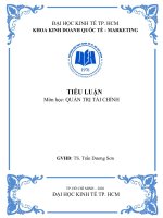ĐỀ tài PHÂN TÍCH TÌNH HÌNH tài CHÍNH CÔNG TY cổ PHẦN FPT 