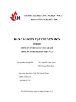 BÁO cáo KIẾN tập CHUYÊN môn CÔNG TY TNHH GIẤY VINA KRAFT và CÔNG TY TNHH KEIDEN VIỆT NAM 