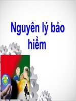 bài giảng nguyên lý bảo hiểm