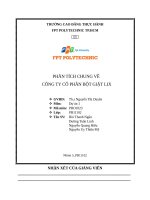 Chiến lược Marketing công ty cổ phần bột giặt Lix