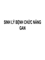Bài giảng Sinh lý bệnh chức năng gan - La Hồng Ngọc