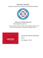 TIỂU LUẬN PHÂN TÍCH các CHIẾN lược MARKETING QUỐC tế của tập đoàn CÔNG NGHIỆP – VIỄN THÔNG QUÂN đội VIETTEL 