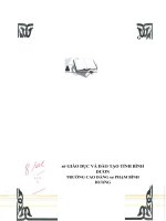 Tìm hiểu hình thức hoạt động đội nhằm giáo dục học tập văn hóa cho đội viên 