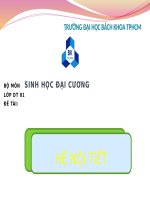Đề tài hệ nội tiết