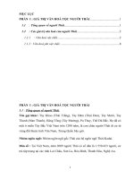 VẬN DỤNG VĂN HOÁ TỘC NGƯỜI THÁI TRONG HOẠT ĐỘNG DU LỊCH