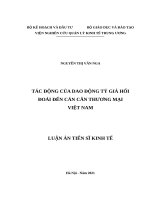 Tác động của dao động tỷ giá hối đoái đến cán cân thương mại Việt Nam.