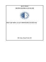 BT thi hành án dân sự