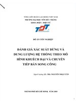 Đánh giá xác suất dừng và dung lượng hệ thống theo mô hình khuếch đại và chuyển tiếp bán song công