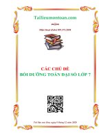 Các chủ đề bồi dưỡng đại số lớp 7