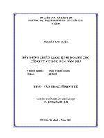 Tài liệu Xây Dựng Chiến Lược Kinh Doanh Cho Công Ty Vineco
