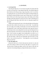 Hoạt động đầu tư vào thị trường bất động sản tại hà nội doc 