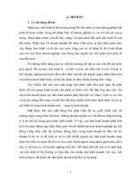 cơ cấu tổ chức của doanh nghiệp nhà nước và hoạt động của công ty cổ phần LUYỆN KIM  QUỲ hợp  NGHỆ AN 