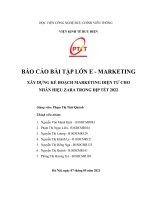 XÂY DỰNG kế HOẠCH MARKETING điện tử CHO NHÃN HIỆU ZARA TRONG dịp tết 2022 