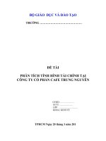 12  phân tích tình hình tài chính tại công ty cp cafe trung nguyên
