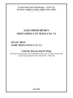 Giáo trình Nhân giống cây mãng cầu ta (Nghề: Trồng mãng cầu ta) - Sở Nông nghiệp và PTNT tỉnh Bà Rịa – Vũng Tàu