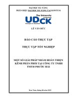 Một số giải pháp nhằm hoàn thiện kênh phân phối tại công ty TNHH TMTH phước hải 