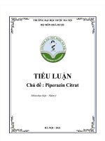 Báo cáo tiểu luận môn hóa dược chủ đề piperazin citrat