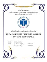 Đồ án phát triển sản phẩm trà gừng hương vị xoài