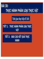 BÀI 30   KHTN 6 ( TIẾT 2) 