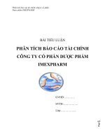 2  bài tiểu luận phân tích báo cáo tài chính CÔNG TY cổ PHẦN dược PHẨM IMEXPHARM