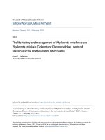 The life history and management of phyllotreta cruciferae and phyllotreta striolata