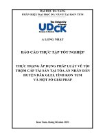 Thực trạng áp dụng pháp luật về tội trộm cắp tài sản tại tòa án nhân dân huyện đăk glei, tỉnh kon tum và một số giải pháp 