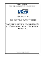 Trách nhiệm hình sự của người dưới 18 tuổi phạm tội trong luật hình sự việt nam 