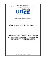 Giải pháp phát triển hoạt động marketing tại công ty cổ phần hùng phát tỉnh kon tum 
