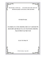 Tác động của tăng trưởng cho vay và rủi ro tín dụng đến lợi nhuận của các ngân hàng thương mại cổ phần tại việt nam  luận văn thạc sĩ tài chính ngân hàng 