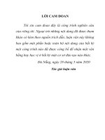 Hoạt động ngoại giao văn hóa của việt nam đối với asean giai đoạn 2009 2020 