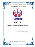 Báo cáo thực tập điều khiển tự động - Th.s Nguyễn Phong Lưu - HCMUTE
