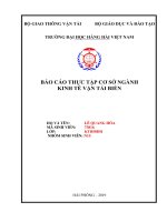 BÁO cáo THỰC tập cơ sở NGÀNH KINH tế vận tải BIỂN tại công ty cổ phần vận tải biển việt nam (VOSCO) 