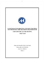 Lập kế hoạch marketing năm 2022 cho dòng sản phẩm giày thể thao bitis hunter dành cho giới trẻ tại thị trường việt nam