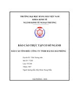BÁO cáo THỰC tập cơ sở NGÀNH báo cáo tìm HIỂU CÔNG TY TNHH hải hà hải PHÒNG 