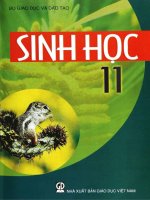 sách giáo khoa sinh học 11
