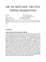Đề án chuyên ngành Truyền thông marketing: Tác động của yếu tố cảm xúc và tình cảm tới mức độ lan truyền của một sản phẩm truyền thông. Liên hệ với các quảng cáo tại Việt Nam dịp Tết nguyên đán 2019.