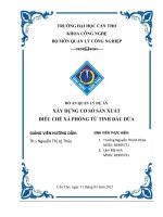 đồ án Quản lý dự án, Quản Lý Công nghiệp