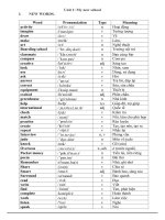 Lý thuyết, bài tập, từ vựng ngữ pháp từ vựng global success 6