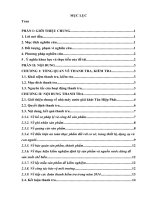 BÀI tập lớn tìm hiểu công tác thanh tra tại nhà máy nước giải khát tân hiệp phát  