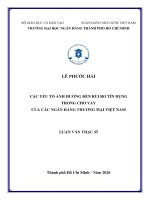 Các yếu tố ảnh hưởng đến rủi ro tín dụng trong cho vay của các ngân hàng thương mại việt nam  luận văn thạc sĩ tài chính ngân hàng 