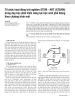 Tổ chức hoạt động trải nghiệm STEM - ART (STEAM) trong dạy học phát triển năng lực học sinh phổ thông theo chương trình mới