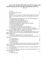 Vấn đề quyết định hình phạt đối với người chưa thành niên phạm tội theo quy định của pháp luật việt nam 