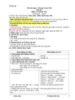 Giáo án lớp 5   TUAN 29 cv2345,CV405