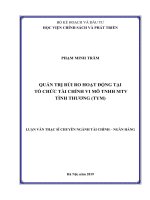 Luận văn thạc sĩ quản trị rủi ro hoạt động tại tổ chức tài chính vi mô TNHH MTV tình thương 