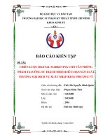 CHIẾN LƯỢC DIGITAL MARKETING CHO VĂN PHÒNG PHẨM TẠI CÔNG TY TRÁCH NHIỆM HỮU HẠN SẢN XUẤT THƯƠNG MẠI DỊCH VỤ XUẤT NHẬP KHẨU PHƯỢNG VŨ