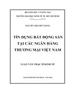 Tài liệu Tín Dụng Bất Động Sản Tại Các Ngân Hàng Thương Mại Việt Nam